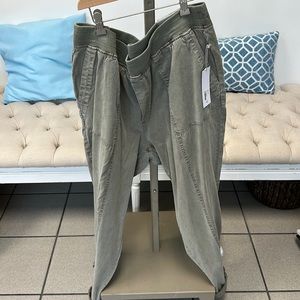 Soft Surroundings pants